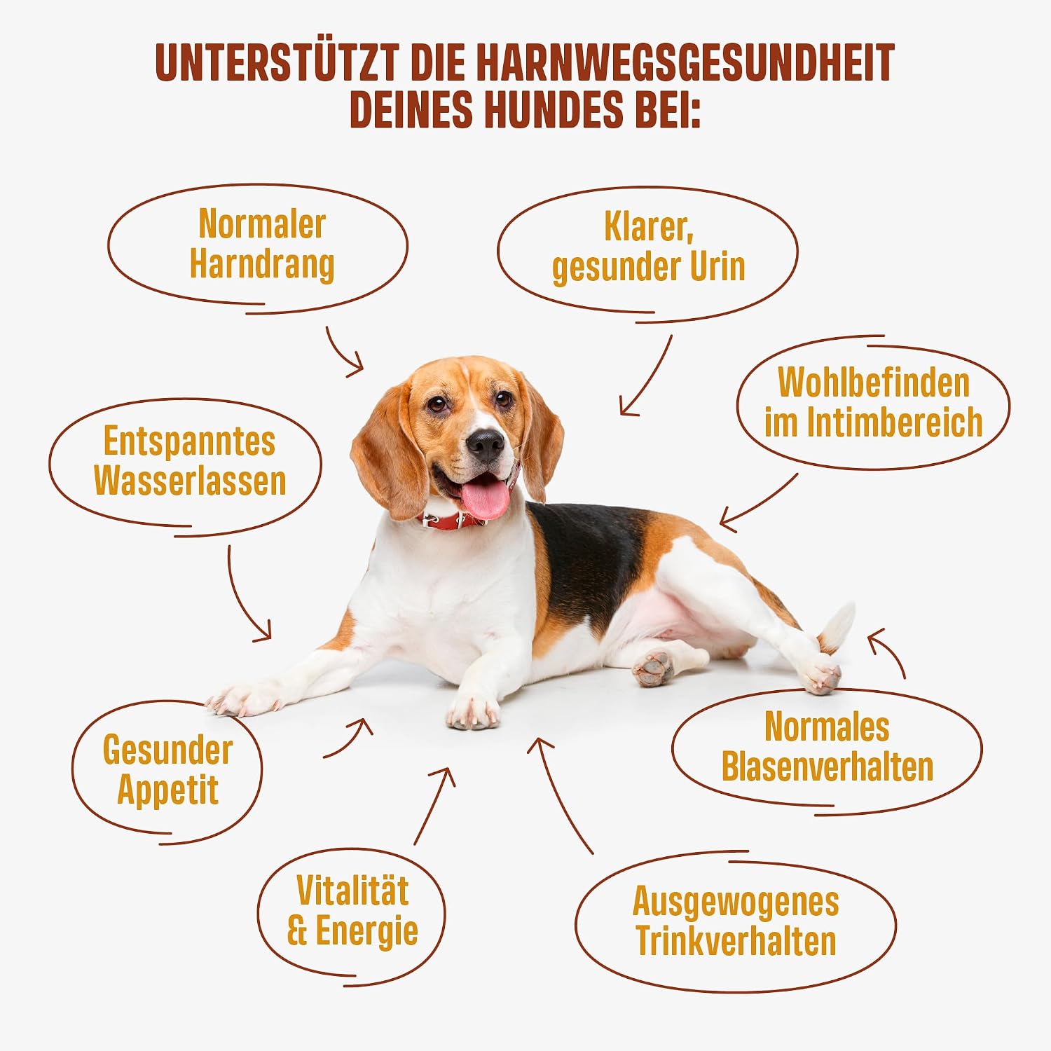 Detalle de ivvi Urology 60 Snacks für Hunde