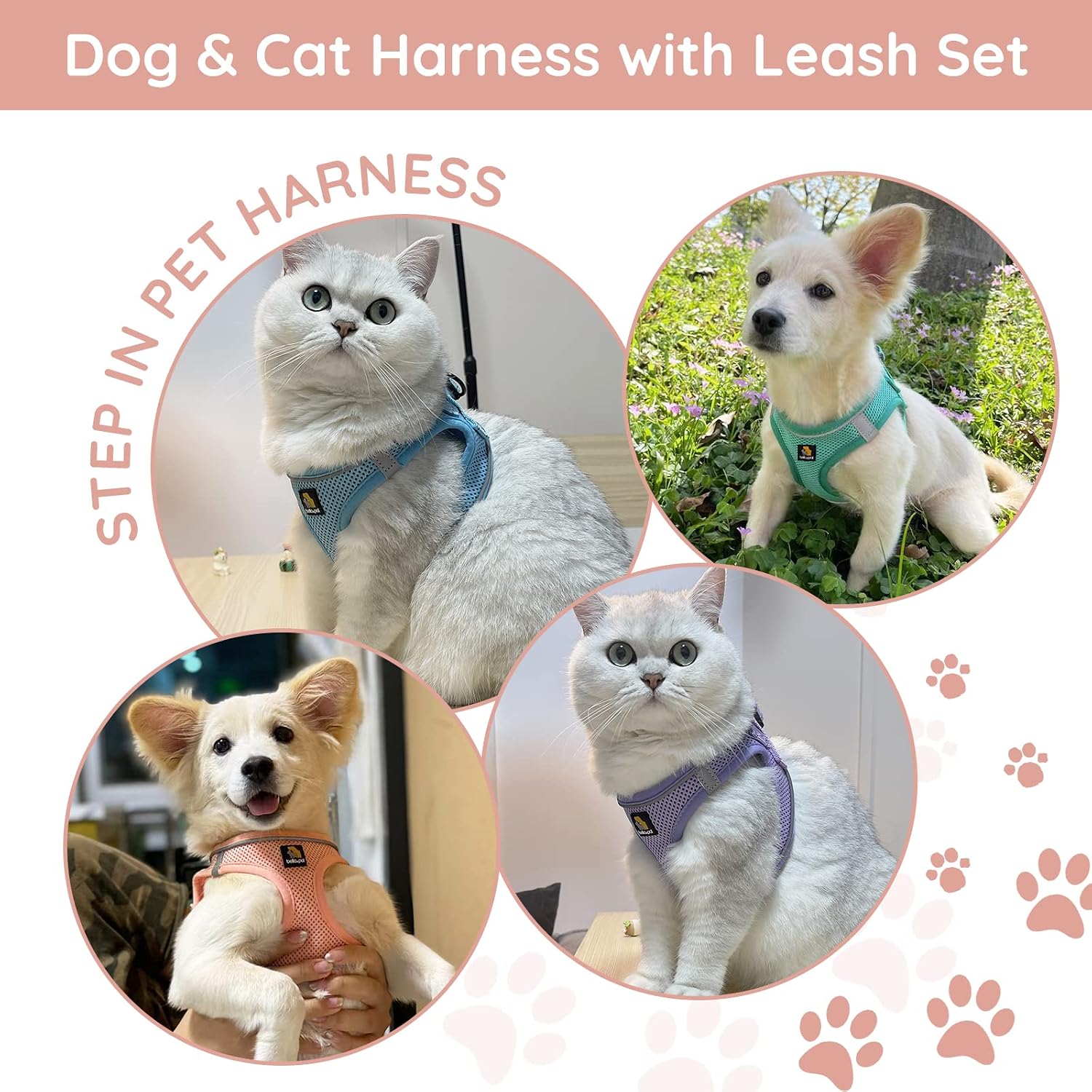 Thumbnail 6 de BELLA & PAL Dog Harness and Leash Set: Step-in Puppy Harness in Pink (Small)