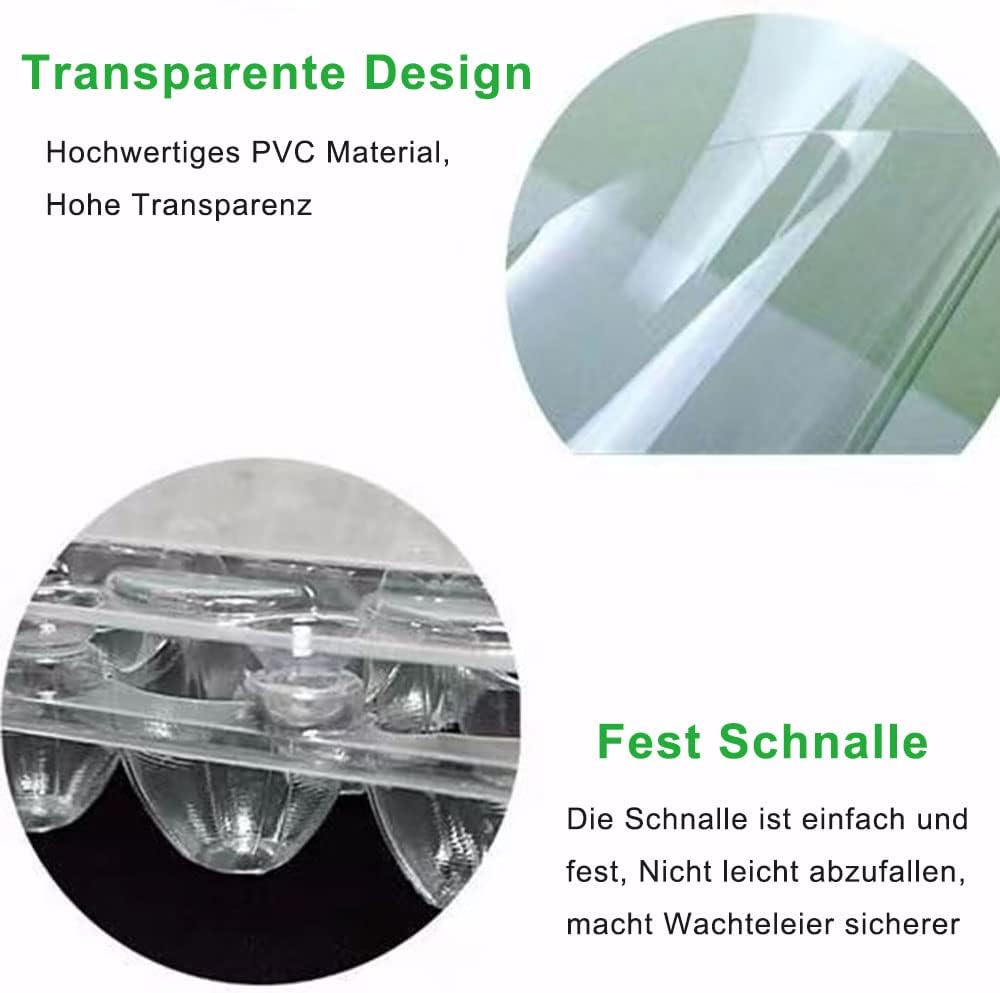 Detalle de Qikaara 50er Set Wachteleierschachteln aus Kunststoff (6 Gitter) – transparente Quail-Egg-Kartons