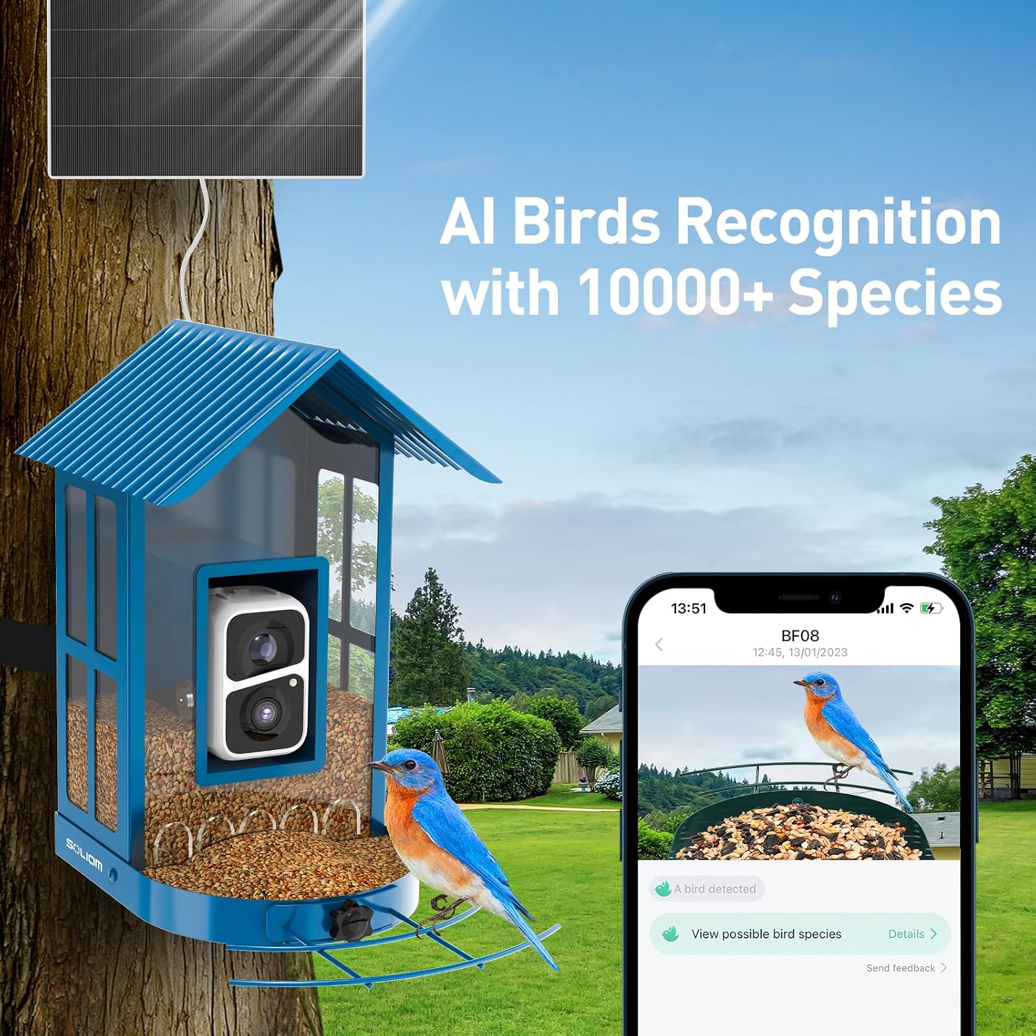 Detalle 2 de SOLIOM Smart Bird Feeder with Camera, 2.7L Capacity