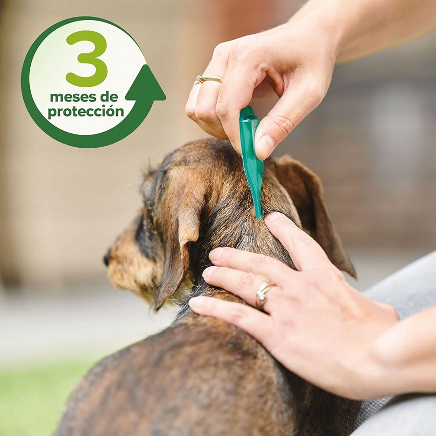 Thumbnail 6 de Beaphar Pipetas repelentes para perros grandes 2 ml 🐶