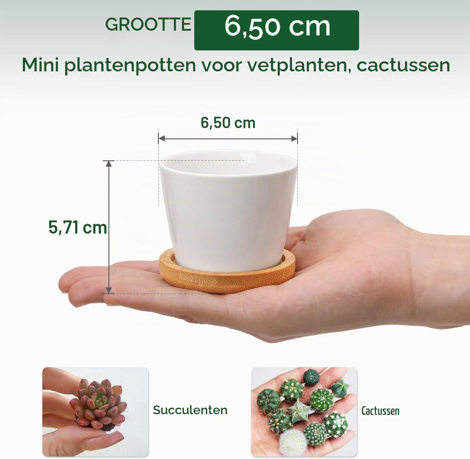 Thumbnail 1 de T4U witte keramische bloempotjes, set van 12 met drainagegat en bamboeschaal