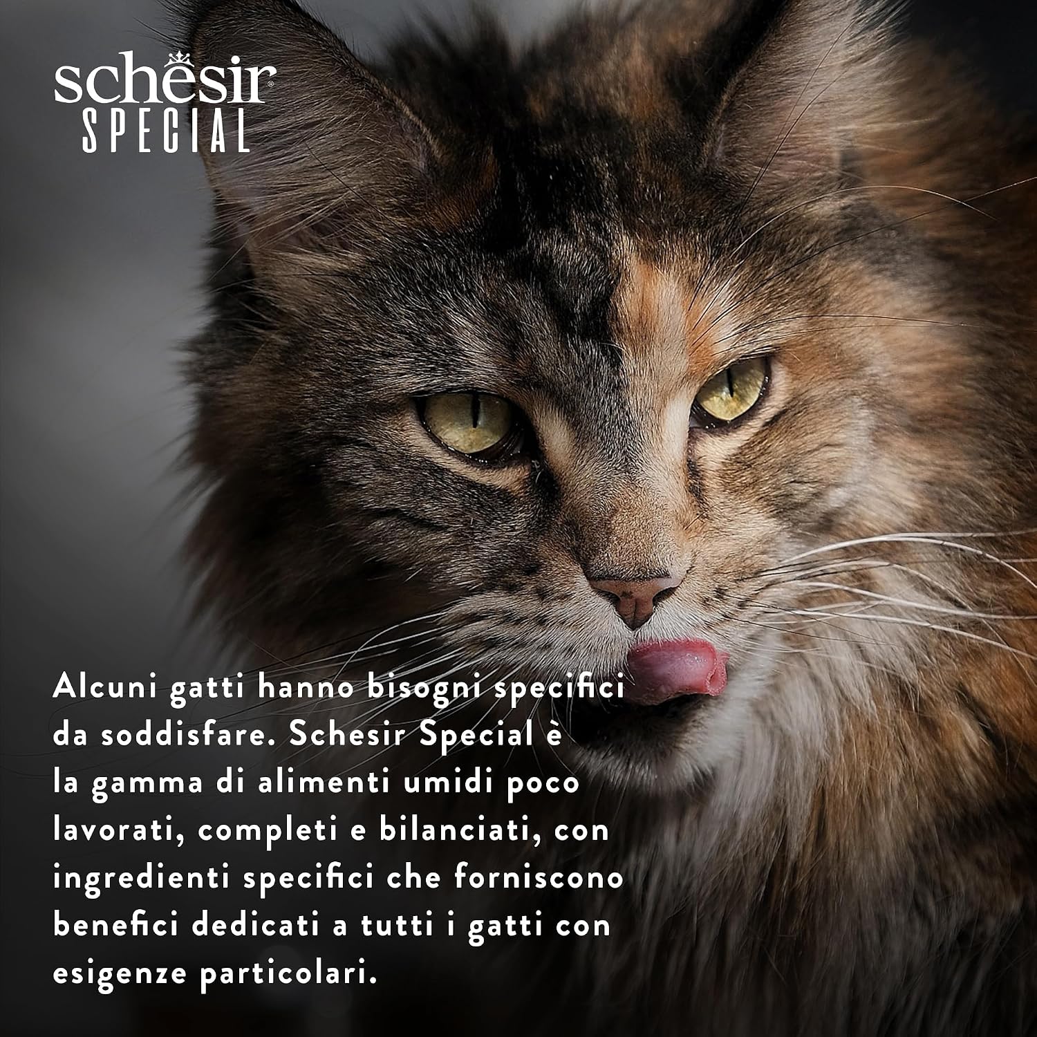 Thumbnail 6 de Schesir Special Light Filetti di Pollo in Mousse per Gatti – Umido Grain Free, 12 x 70 g