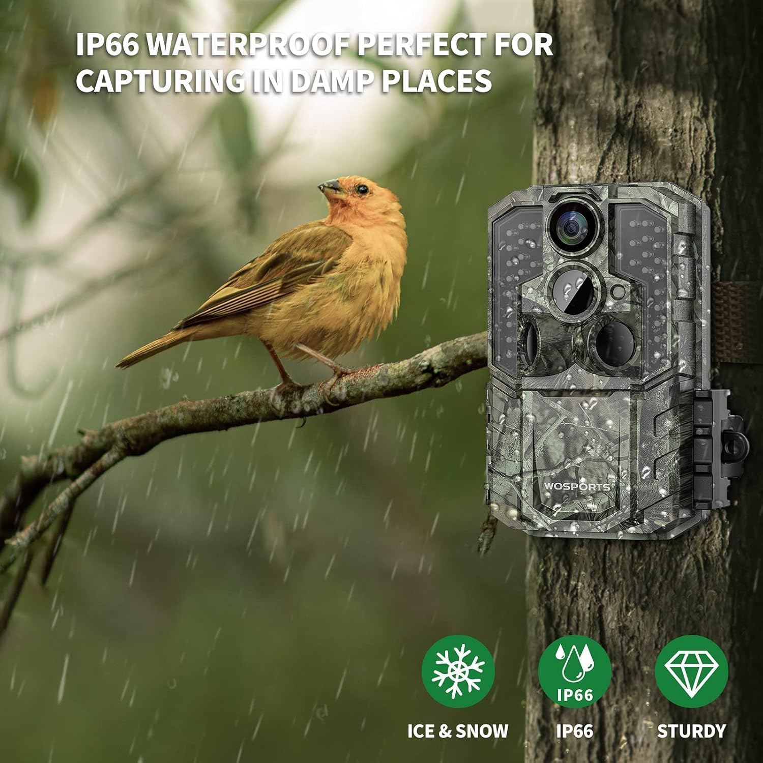 Thumbnail 3 de WOSPORTS G600-4K Trail Camera, 64MP, 4K Video, No-Glow Night Vision