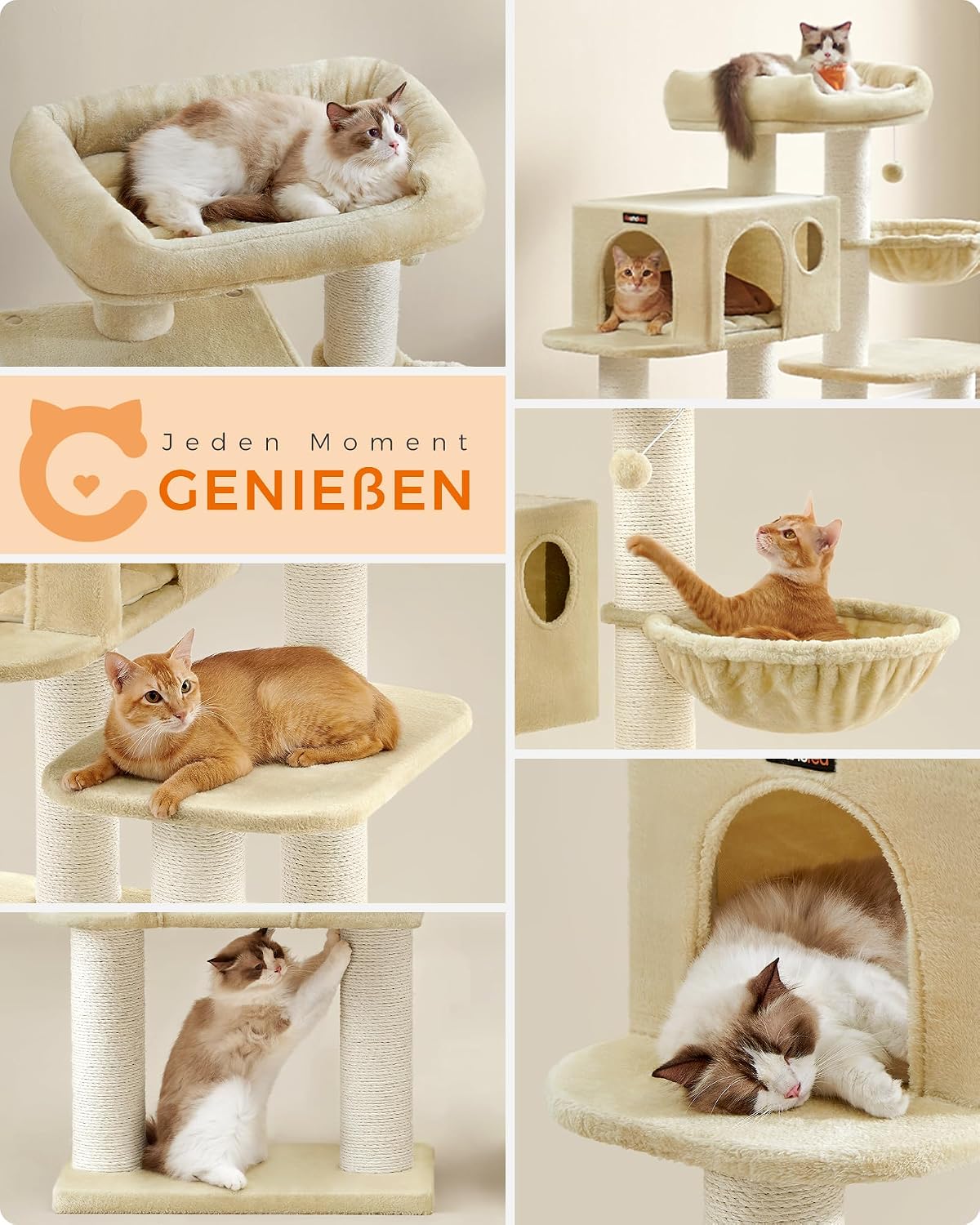 Thumbnail 5 de Feandrea PCT01W Kratzbaum XXL für große Katzen 🐱