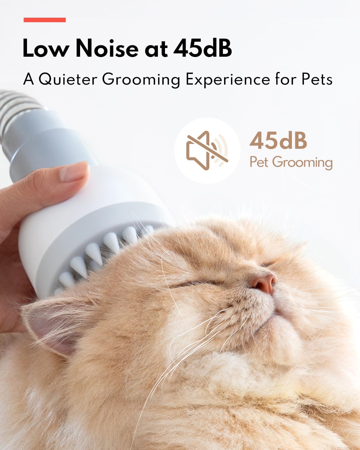 Detalle 2 de HomeRunPet Ultra Quiet Pet Vacuum 1.85L