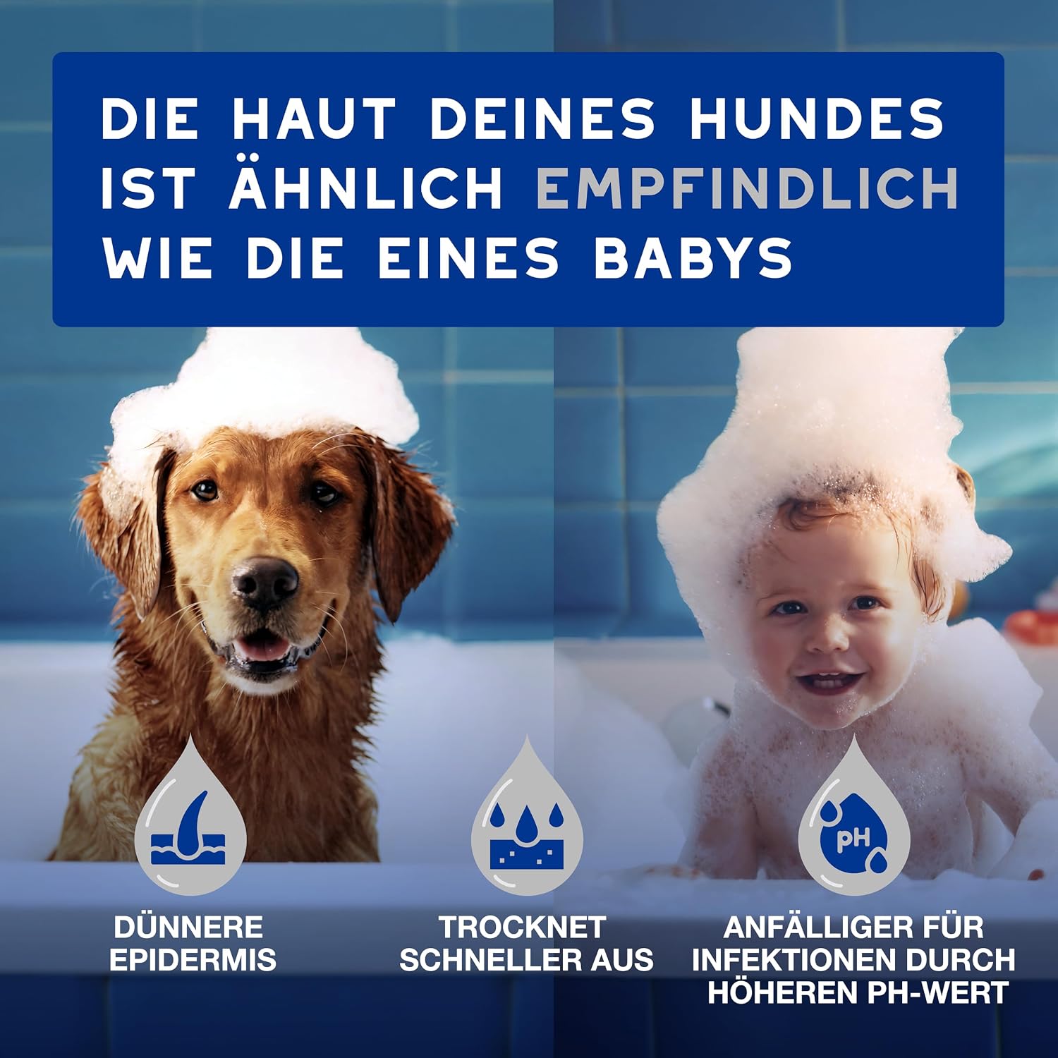 Detalle de DOUXO Skin & Coat SPA – Ultra-Safe Feuchttücher für Hund und Katze, 100 Stück