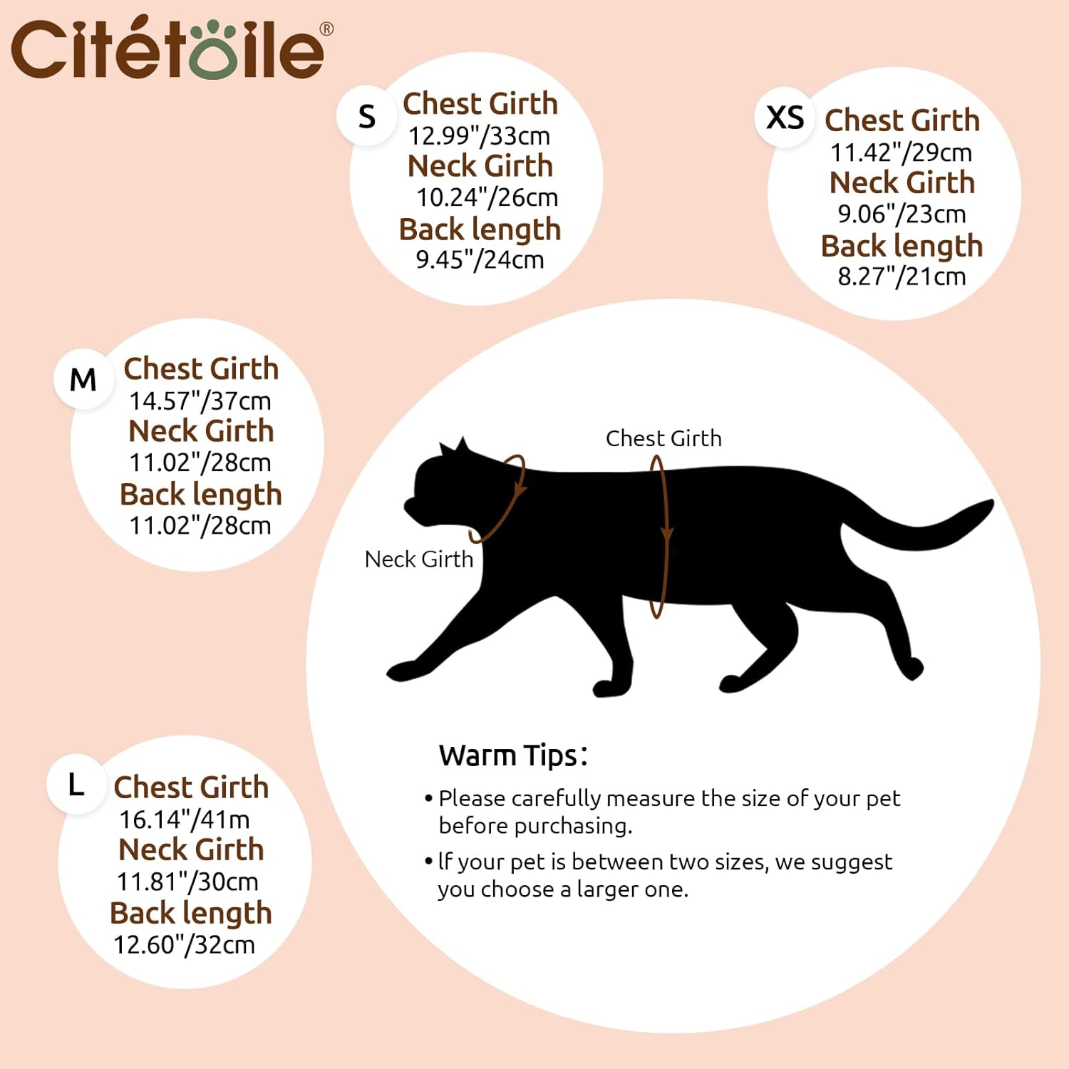 Thumbnail 3 de CITÉTOILE Katzenbody XS 🐾