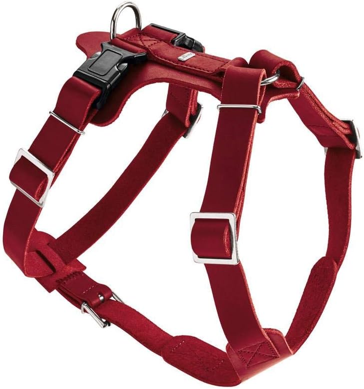 Thumbnail 6 de HUNTER AALBORG Leder Geschirr XS 38â52 cm đŸ