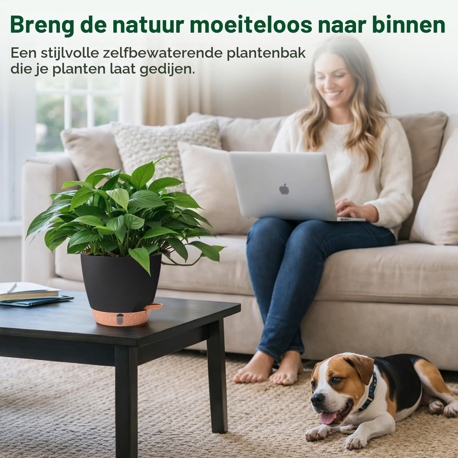 Thumbnail 1 de T4U PG3084 zelfbewaterende bloempotten, 20 cm, zwart, set van 2