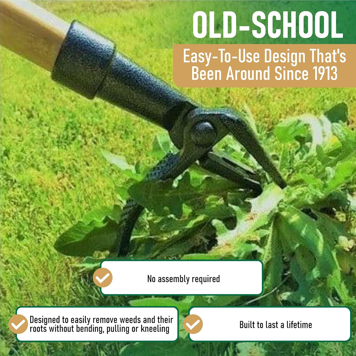 Detalle de Grampa's Weeder Original Stand-Up Weed Puller with Bamboo Handle and 4-Claw Steel Head