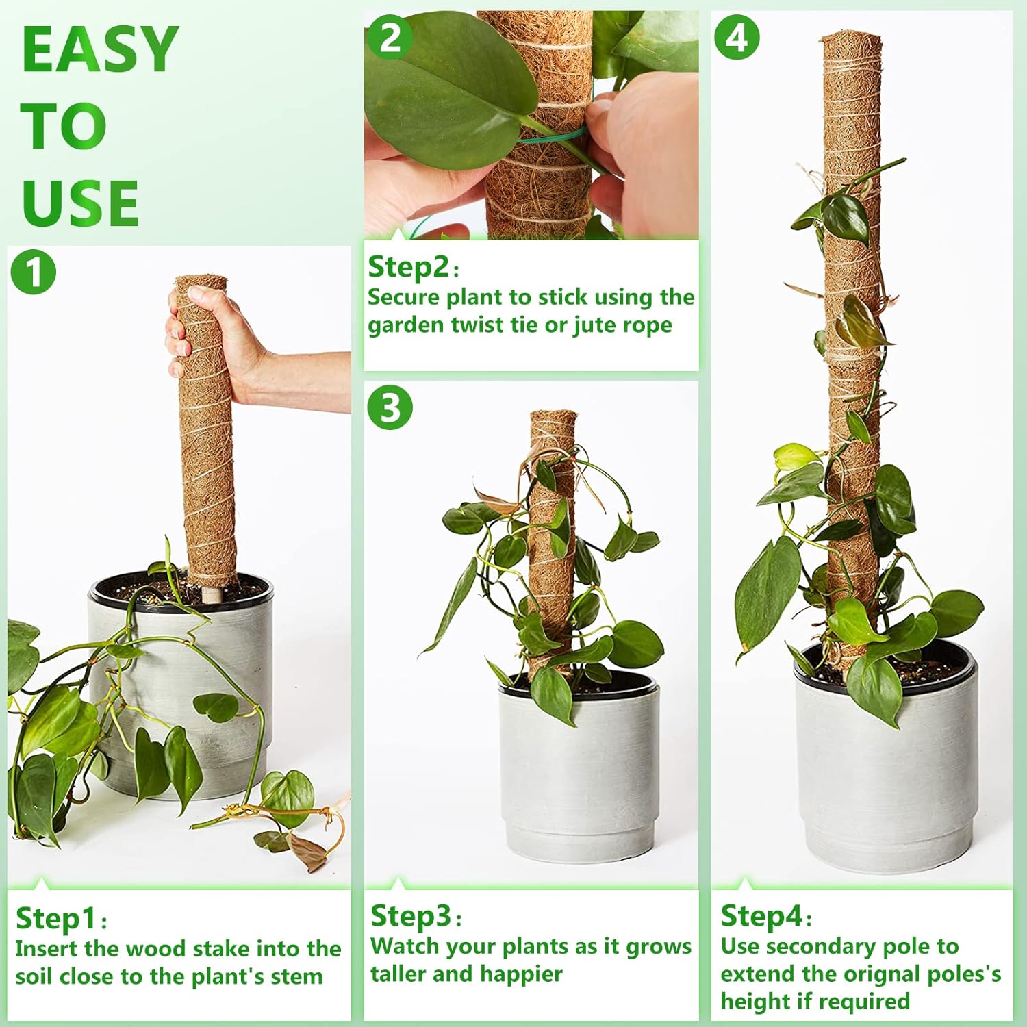 Thumbnail 4 de Moss Pole 173 cm 6-Pack coir climbing poles