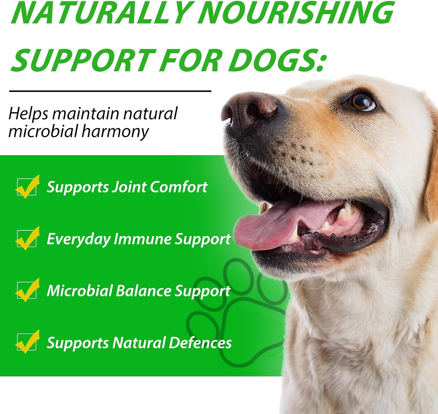 Detalle de Natürliche Antibiotika für Hunde (60 ml) – flüssiges Ergänzungsfuttermittel bei Husten, Allergien & Infektionen