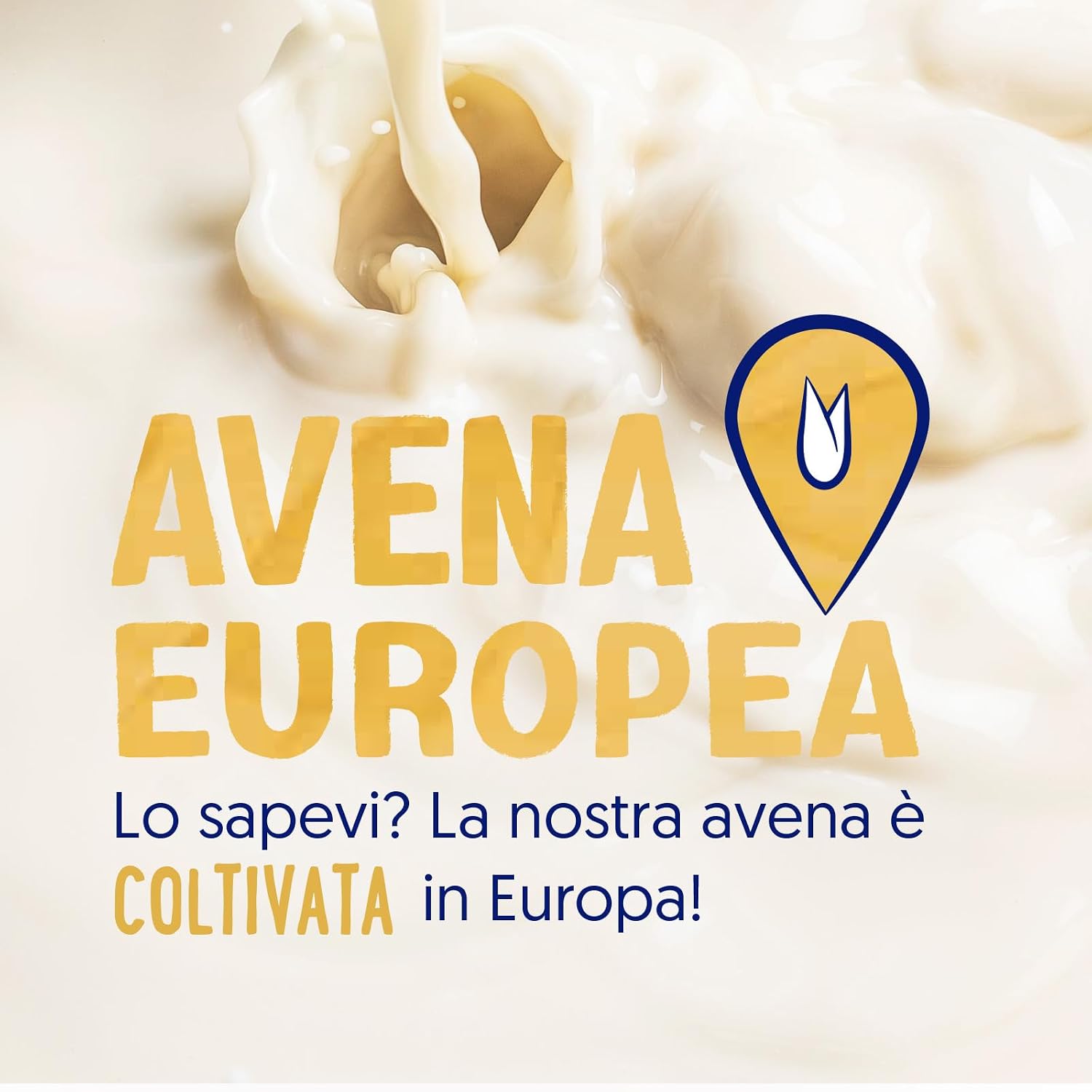 Thumbnail 4 de ALPRO QUESTO NON È LATTE - Bevanda all'avena Light, gusto Latte, 8 confezioni x 1 L