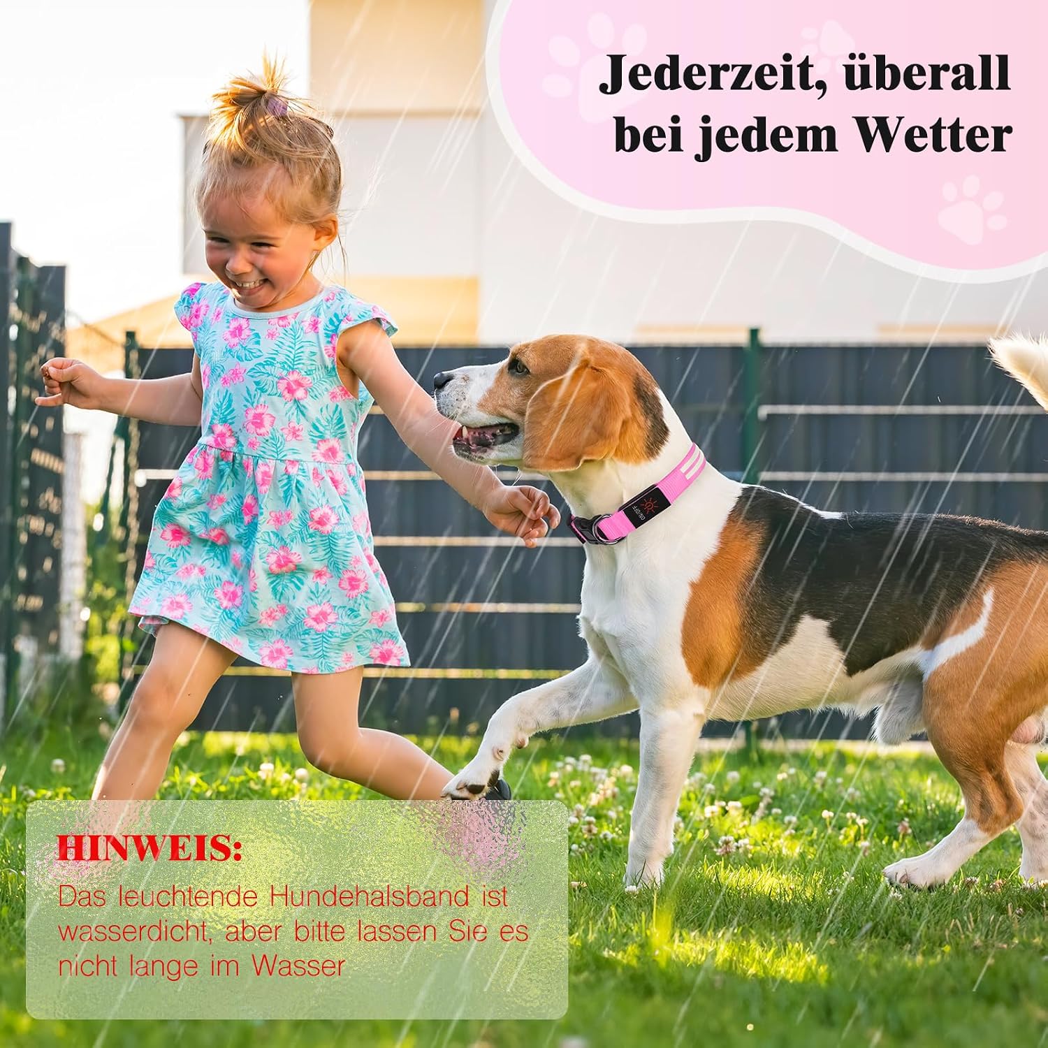 Thumbnail 6 de Weesiber Leuchthalsband Hund LED, aufladbar, M