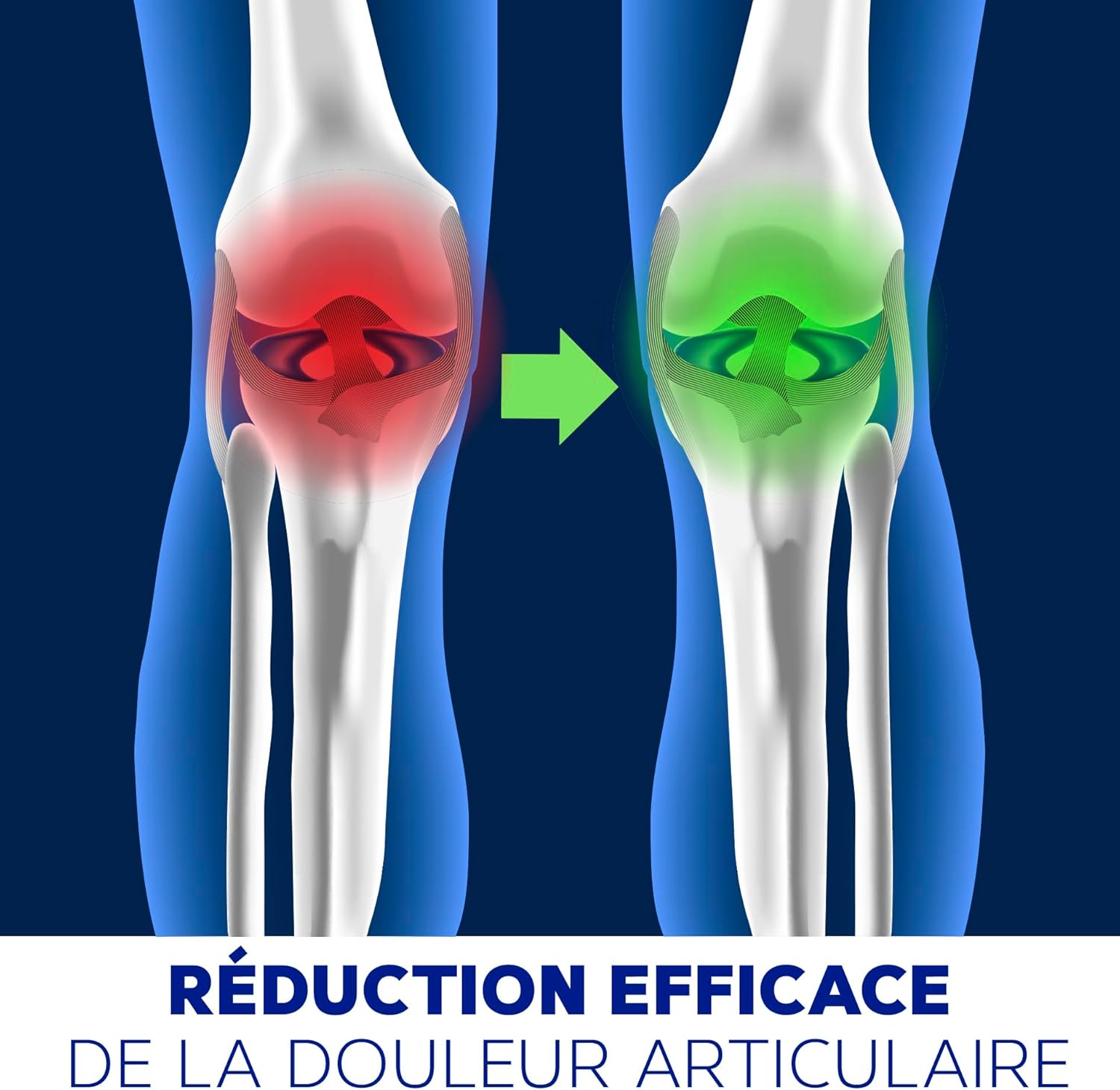 Thumbnail 1 de Collagène Marin Poudre 275 g – Flexi Collagène Renforcé avec Peptan et Ovomet par Essence Pure