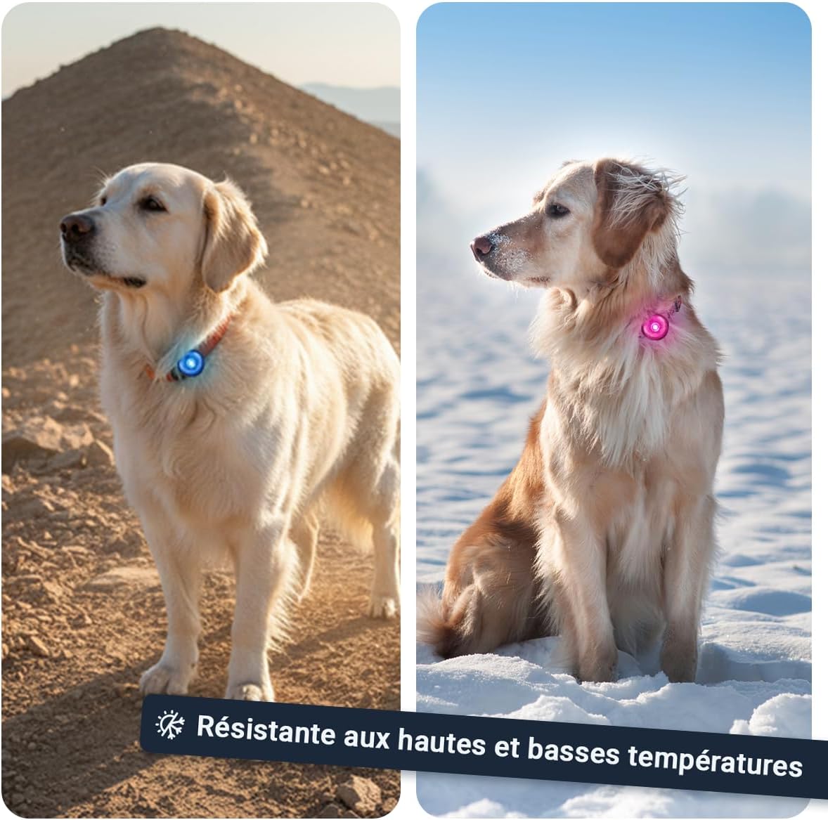 Thumbnail 5 de PAJ Light Mini : collier LED miniature étanche pour chiens et chats