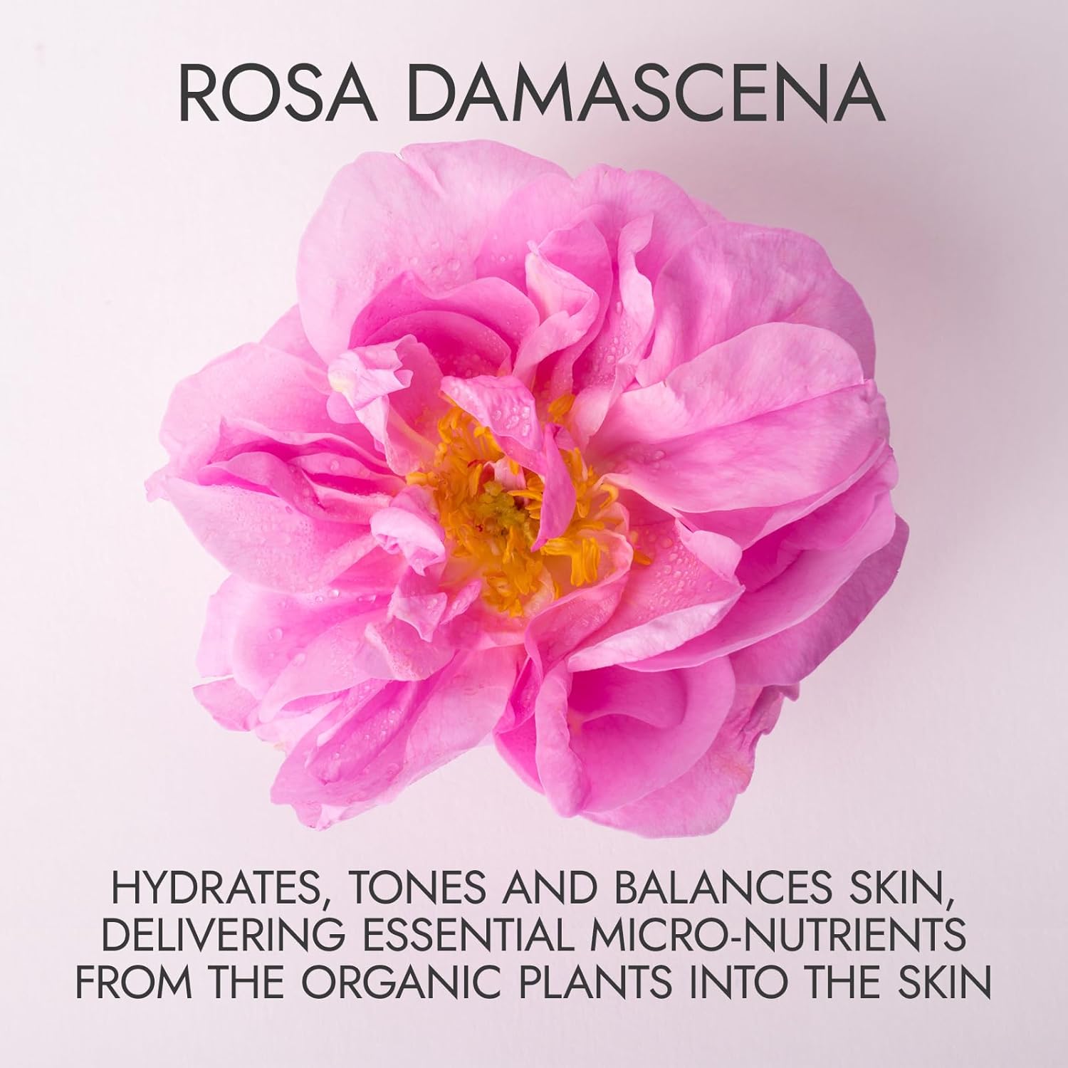 Thumbnail 1 de Alteya Organic Rose Water 500 ml — 100% Pure Rosa Damascena Hydrolat