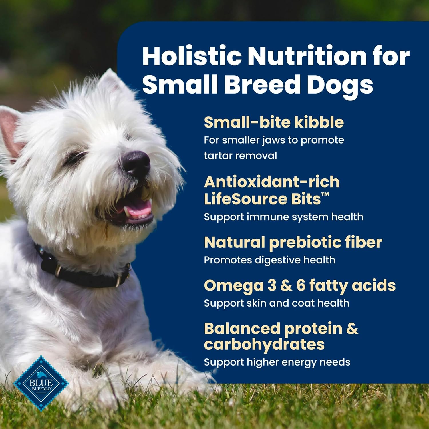 Detalle de Blue Buffalo Life Protection Formula Chicken Small Breed Dry Dog Food, 5 lb