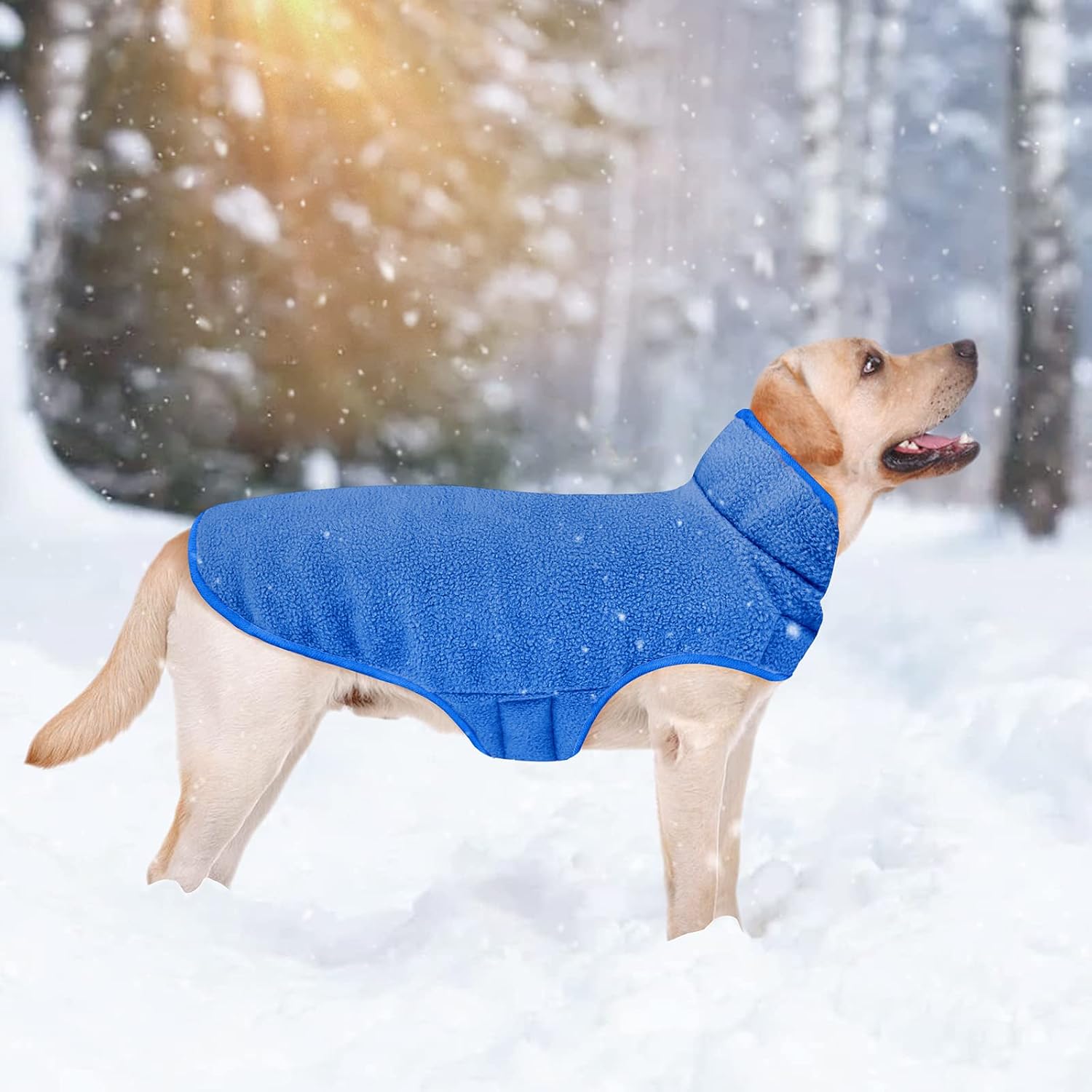 Detalle 1 de Malier Reversible Fleece Dog Coat