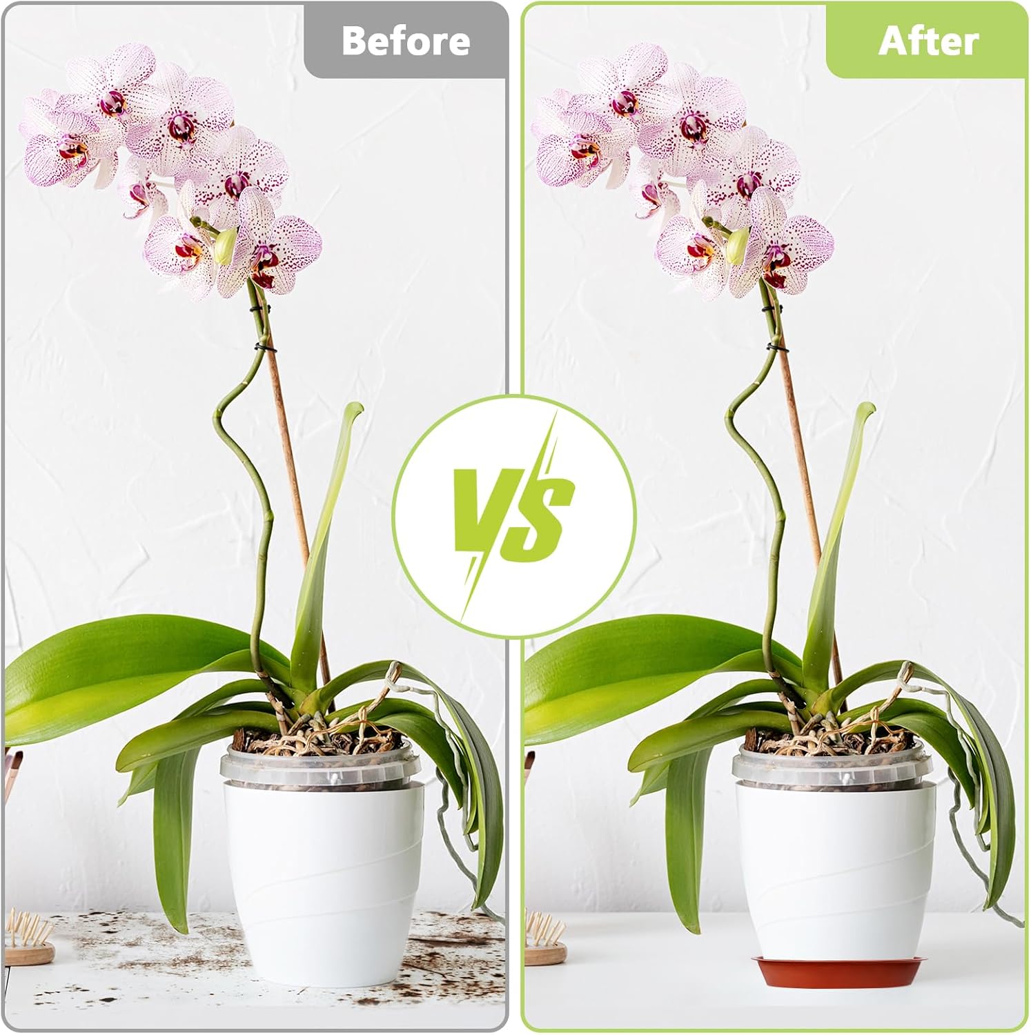 Thumbnail 4 de Muzhira 6 Pack Plant Saucers (26cm red) – thick PP drip trays for indoor and outdoor pots