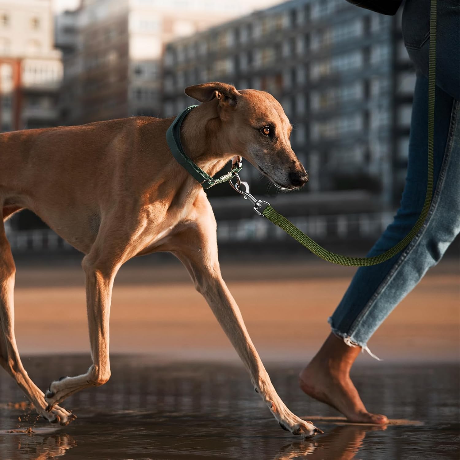 Thumbnail 6 de Wolfone Leichte Schleppleine 15m für Hunde – reflektierend, gepolsterter Griff, Army Green