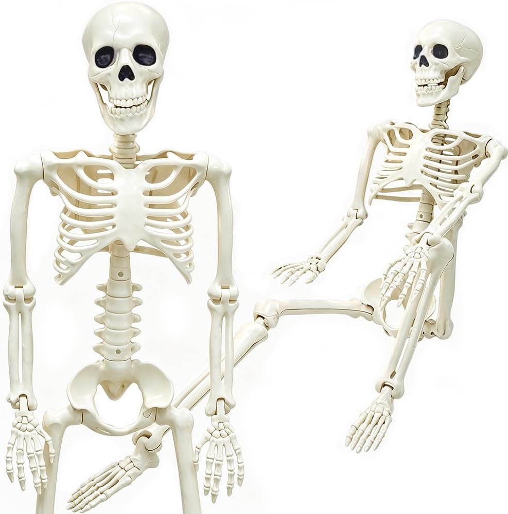 Detalle de WODMAZ ZW-LXWSJGJ 3-Foot Posable Plastic Skeleton Halloween Decoration