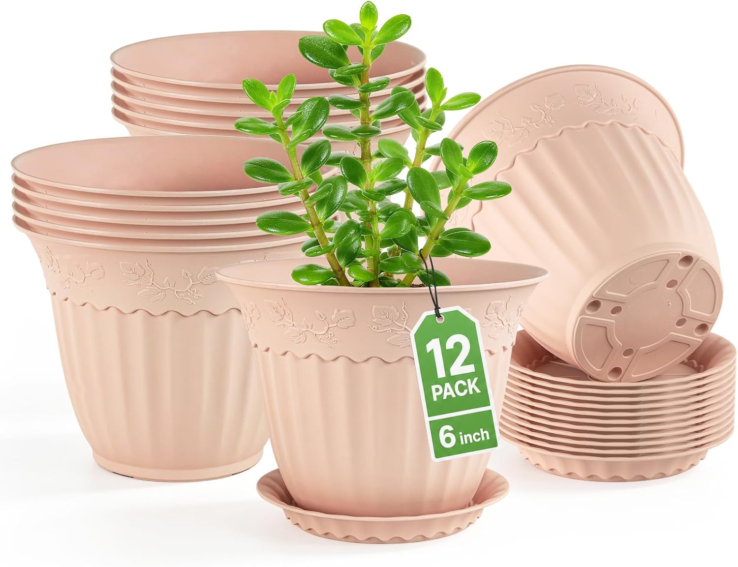 Detalle de ZMTECH 6-Inch Blush Pink Plant Pots with Saucers, 12-Pack, Embossed