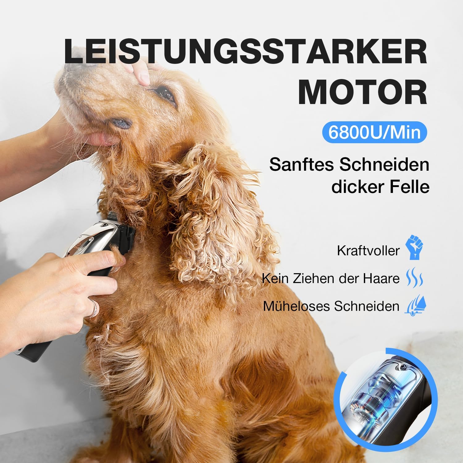 Thumbnail 4 de FuzzyFix Hundeschermaschine 2500 mAh ✂