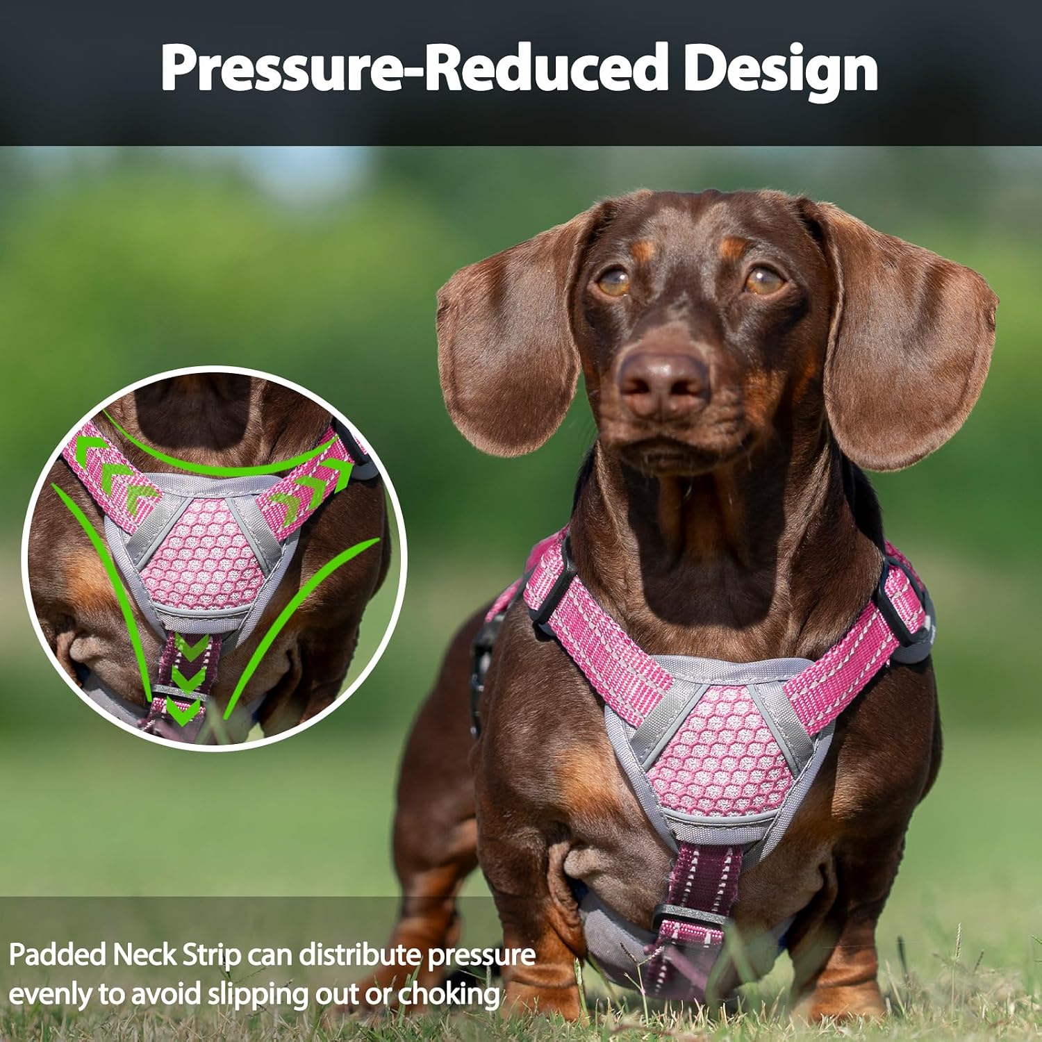 Thumbnail 4 de Huntboo Dog Harness, Size M