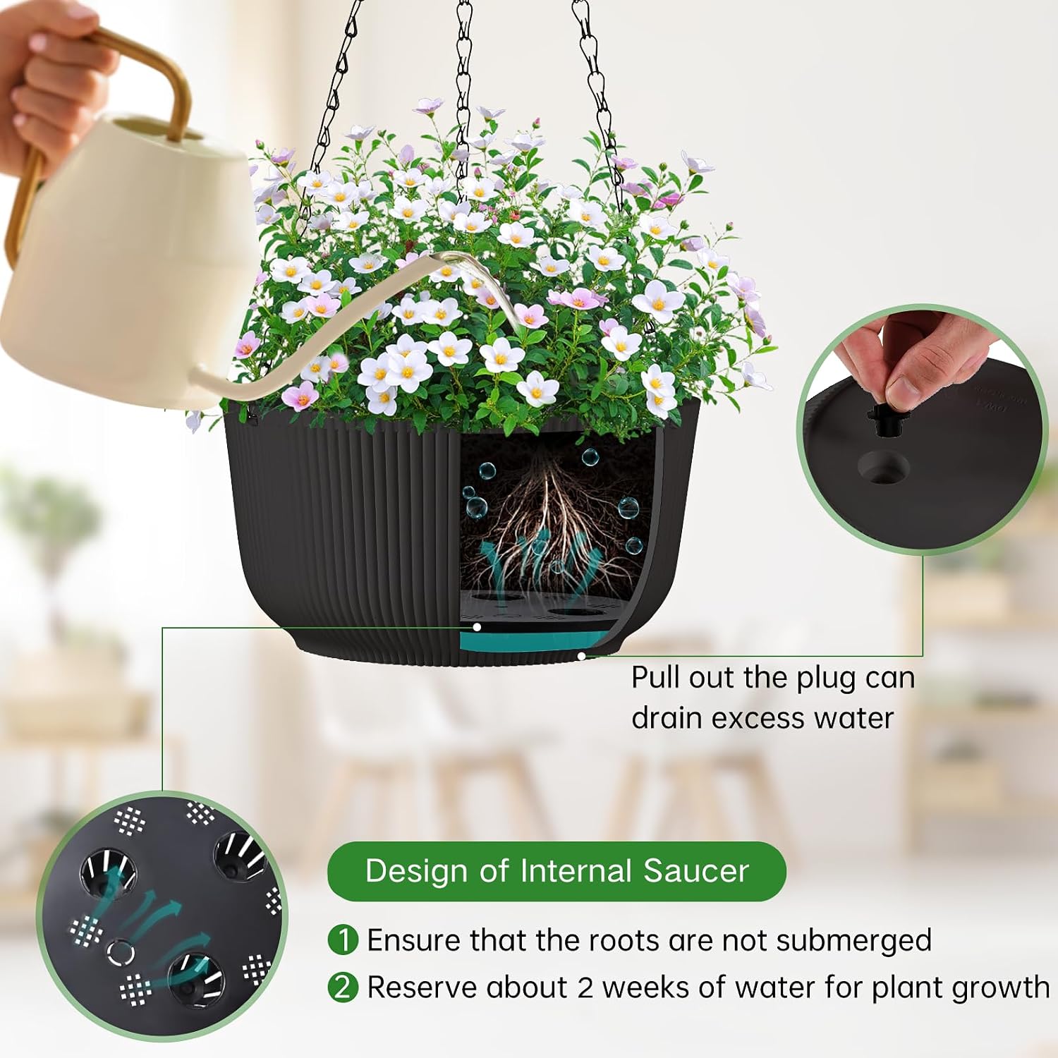 Detalle de Kvetto Hanging Planters, 12-Inch