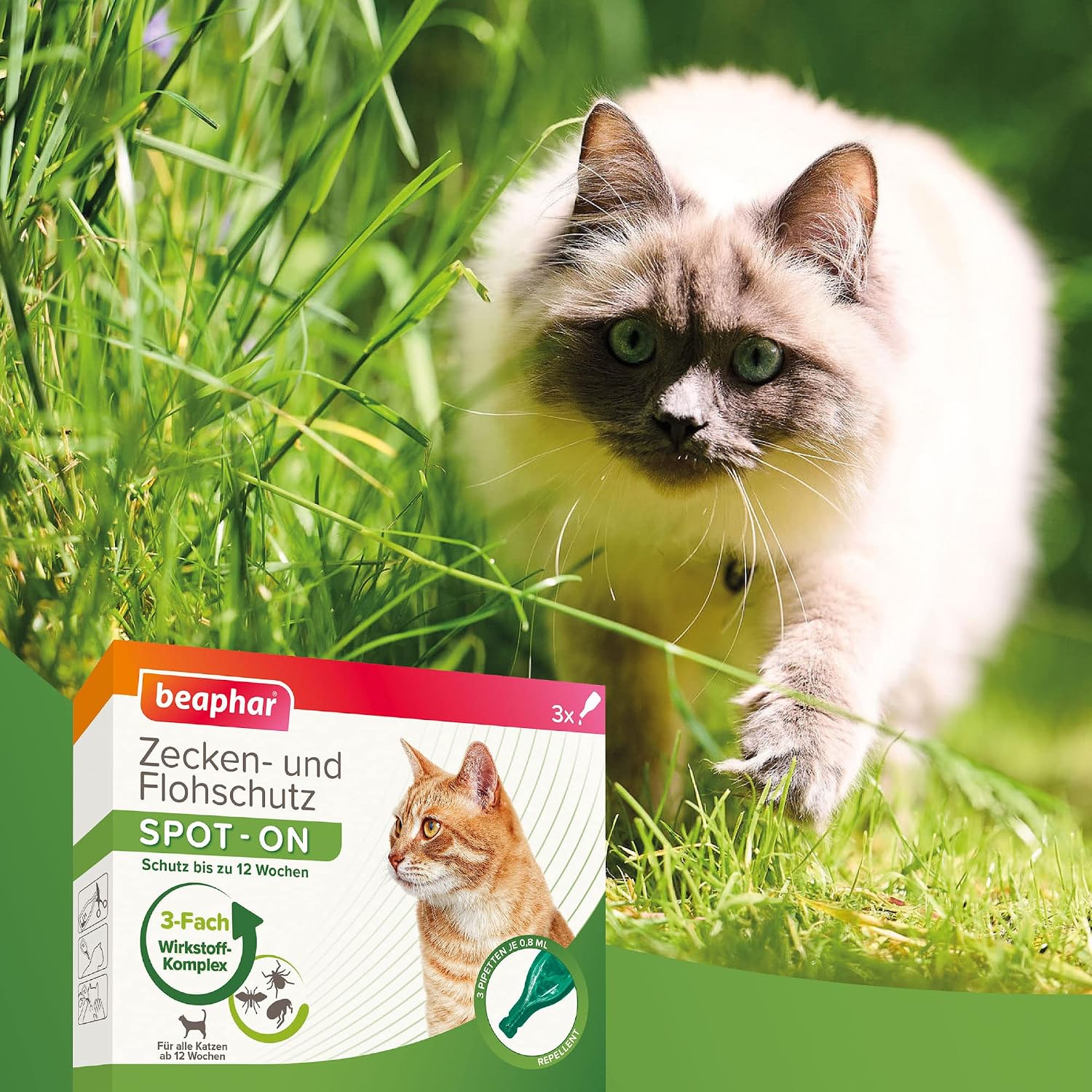 Detalle de Beaphar Zecken- und Flohschutz Spot-On 3x0,8ml, Katze – sofortiger 3fach-Schutz