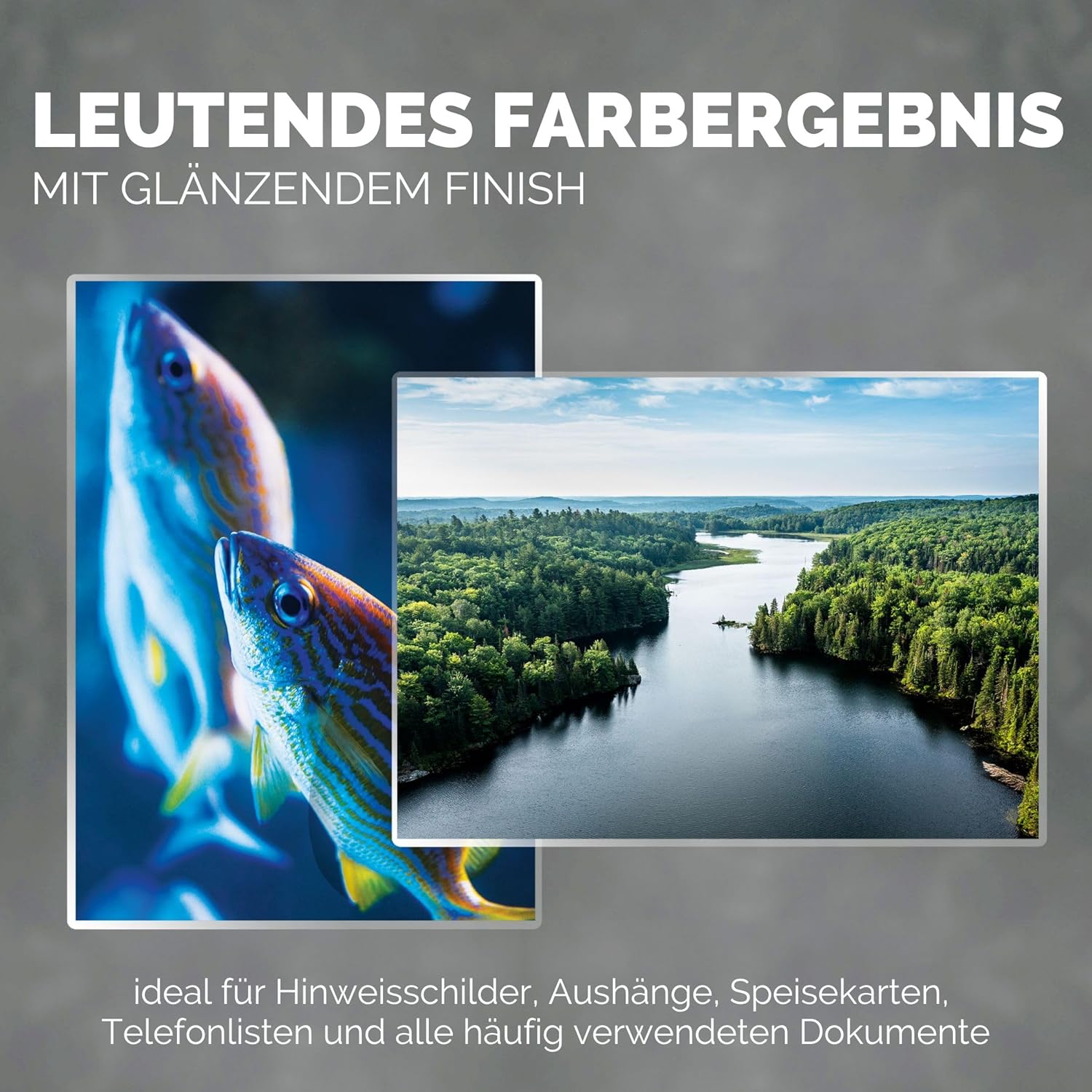 Detalle de Fellowes Laminierfolien A4, glänzend – 80 μm pro Seite, ImageLast Ausrichtungshilfe, 5x100 Stück (500 Folien) – kompatibel mit Heißlamination
