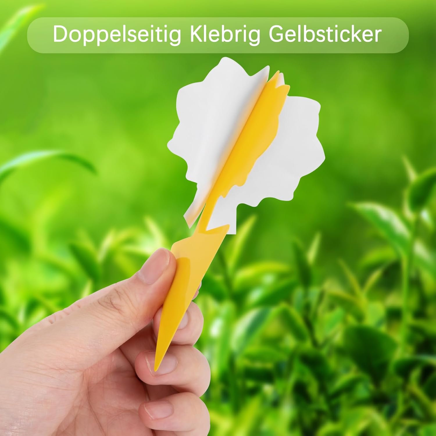 Thumbnail 4 de Beshine Gelbsticker 30 Gelbtafeln gegen Trauermücken