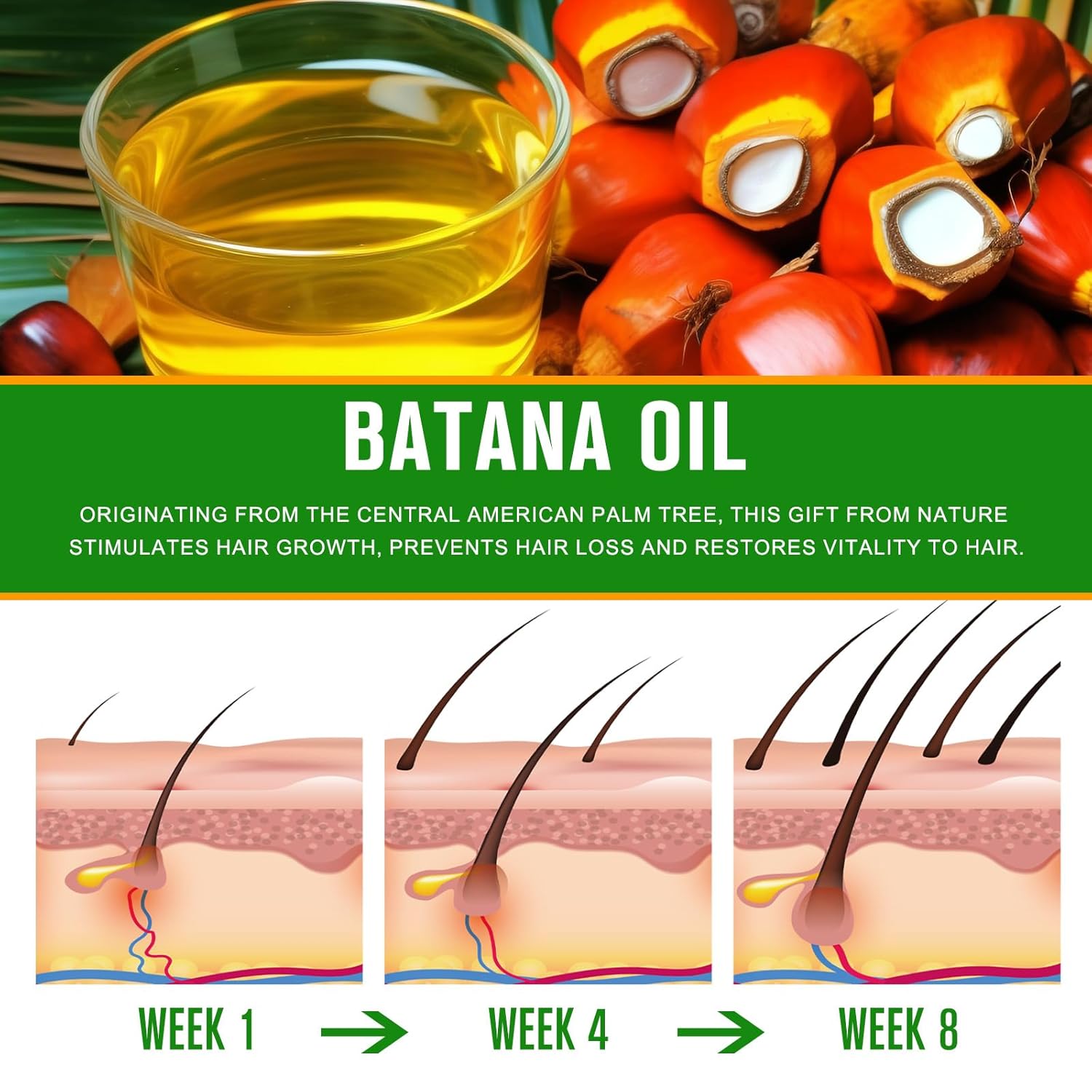 Detalle 2 de VXHDAG Batana Oil for Hair and Scalp, 100% Pure, 2.02 fl oz