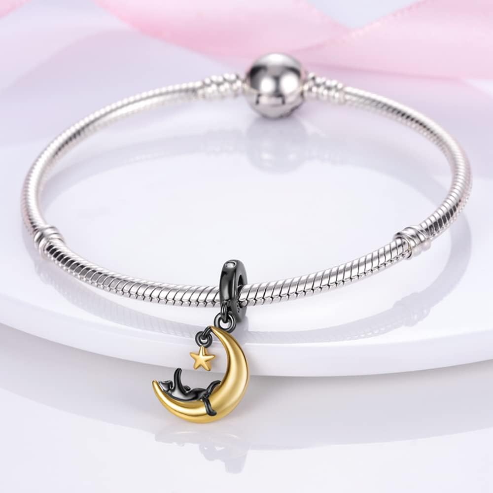 Detalle 2 de Pandach Charm Anhänger 925 Silber C2