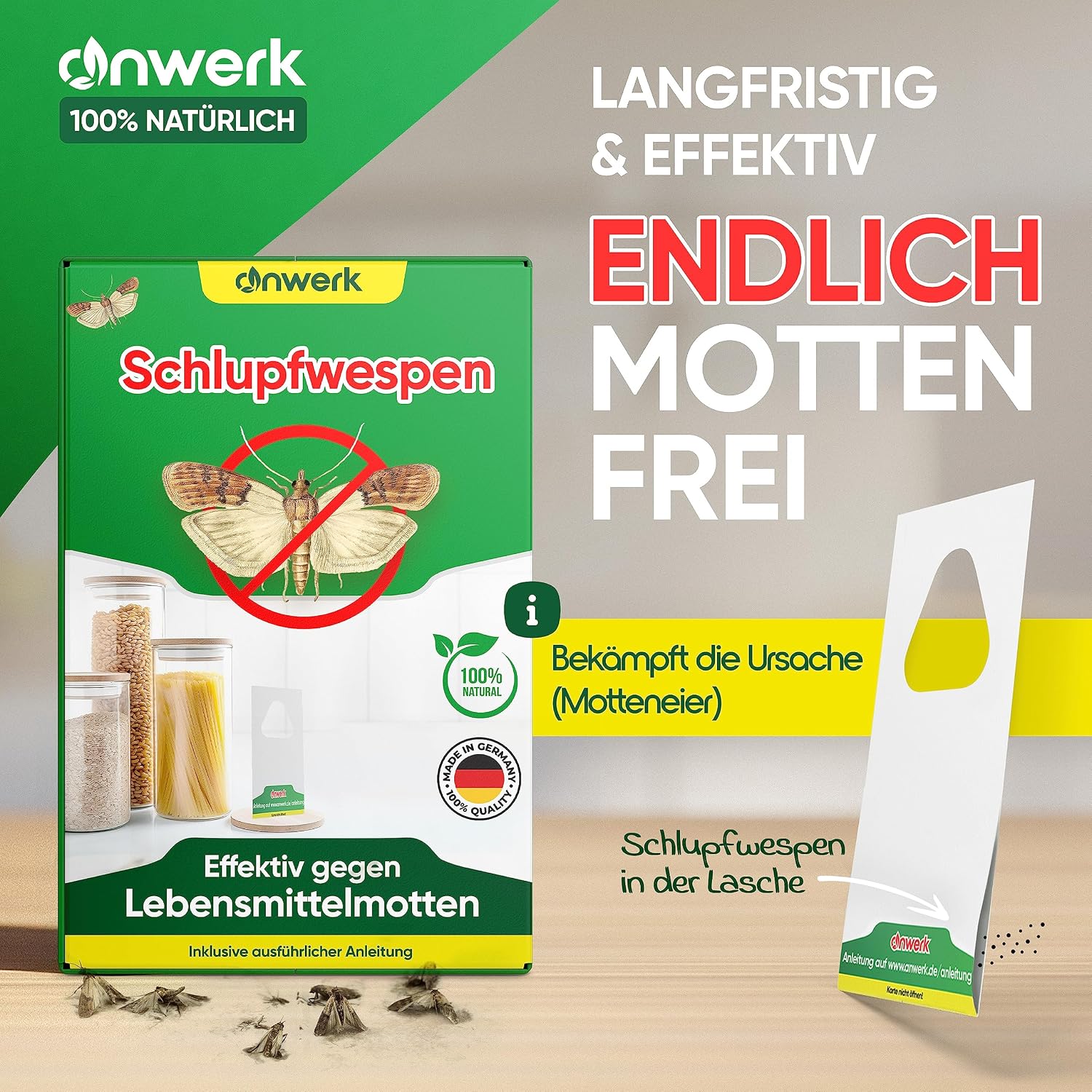 Detalle de anwerk Schlupfwespen gegen Lebensmittelmotten – 12 Karten (4 Lieferungen)