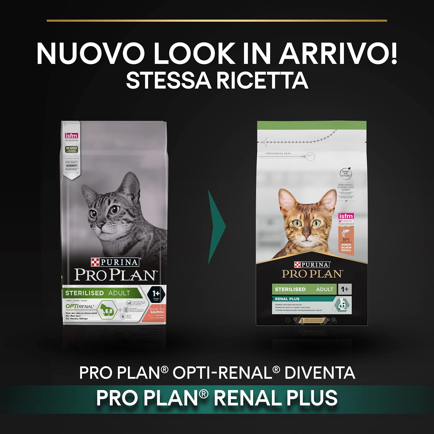 Detalle de PURINA PRO PLAN Renal Plus Crocchette per Gatti Sterilizzati al Salmone – 10 kg