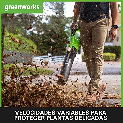 Thumbnail 4 de Greenworks GD40ABK2X Soplador de Hojas a Batería ⚡ with 2 Batteries