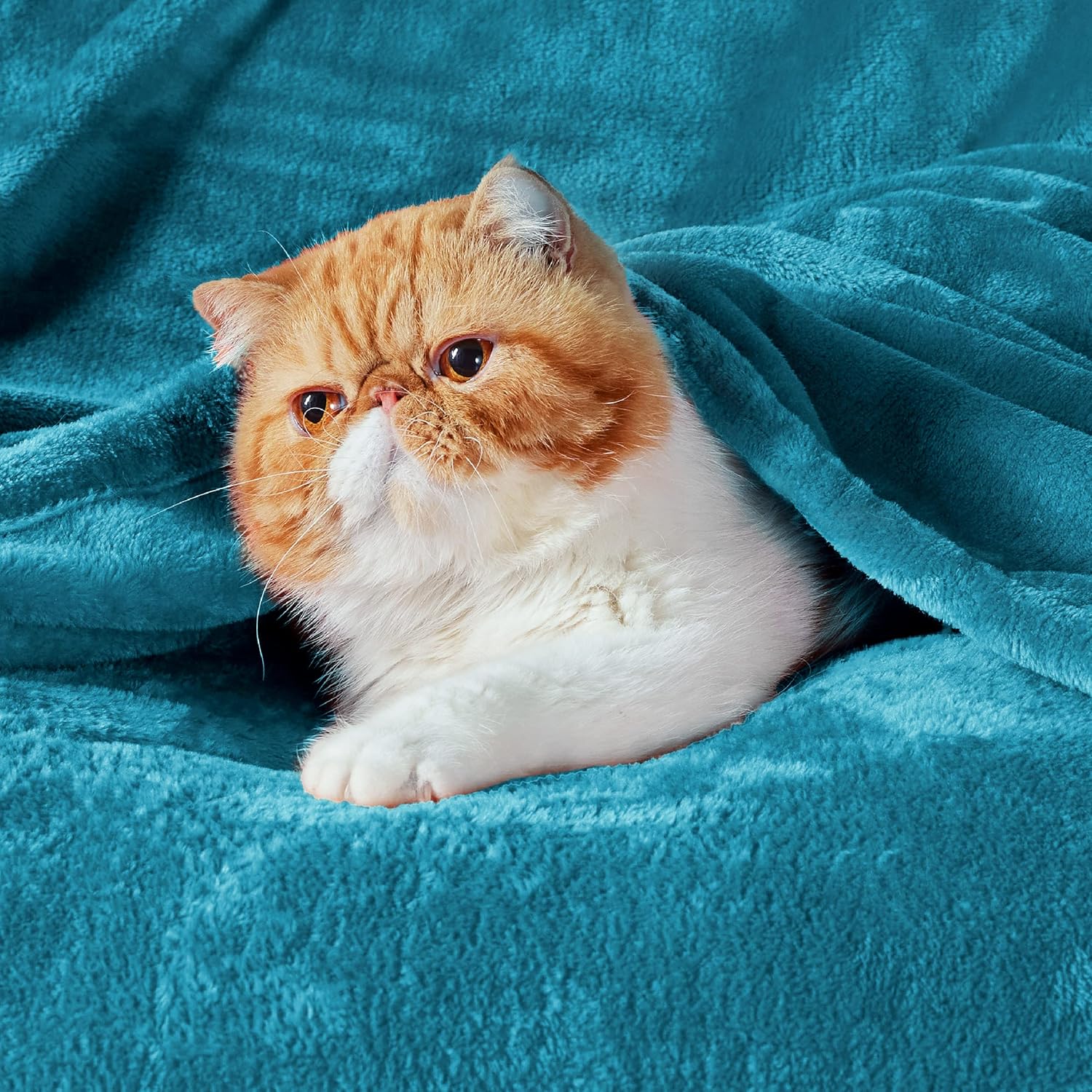 Thumbnail 1 de Bedsure Fleece Blanket King Size – Soft Cosy Fluffy Throw Blanket, Teal 270x230 cm