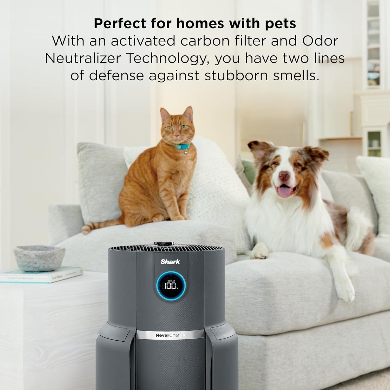 Thumbnail 1 de Shark Air Purifier HP301 for 1,300 sq. ft. 🌬