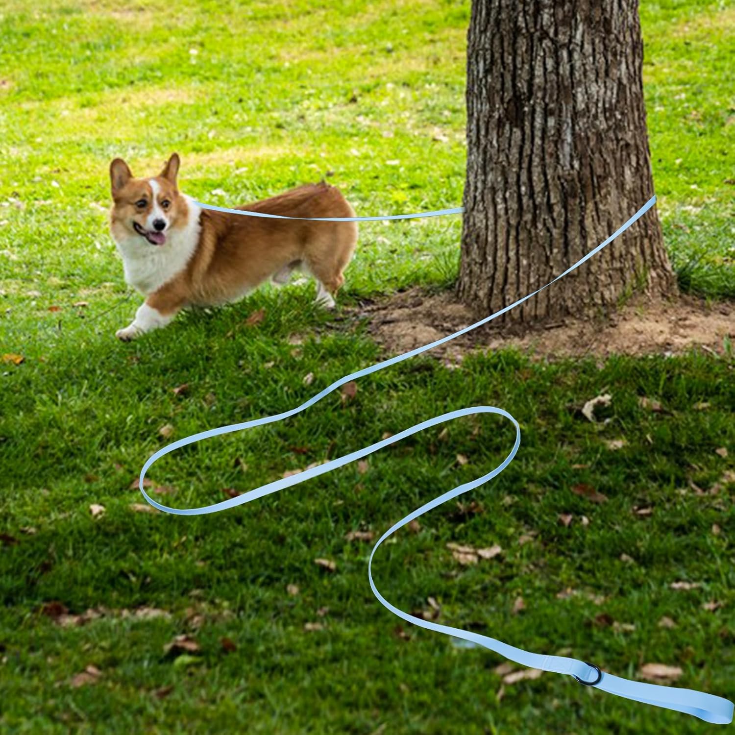 Thumbnail 5 de HSIGIO Training Lead for Dogs: 20m Waterproof Long Line with Padded Handle