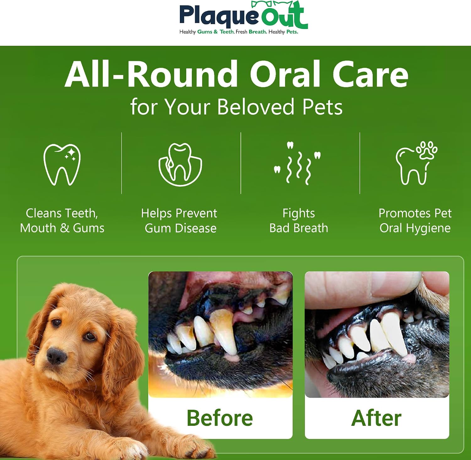 Detalle de Plaque Out 450g Pouch: 100% Natural Seaweed Dental Powder for Dogs & Cats