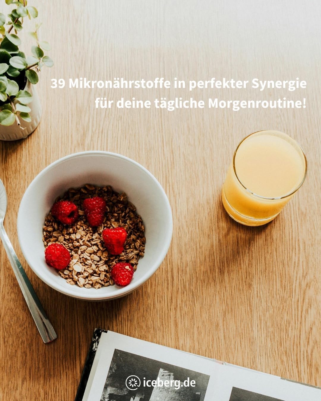 Thumbnail 1 de VitalComplex Premium – 39 ausgewählte Mikronährstoffe (Vitamin-B-Komplex, Aminosäuren & Multivitamine) in Sticks