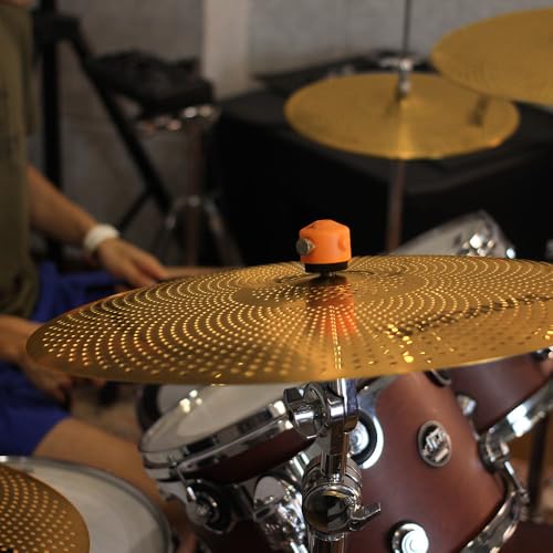 Thumbnail 6 de SONICAKE Set Piatti Basso Volume Dorato 5 pezzi