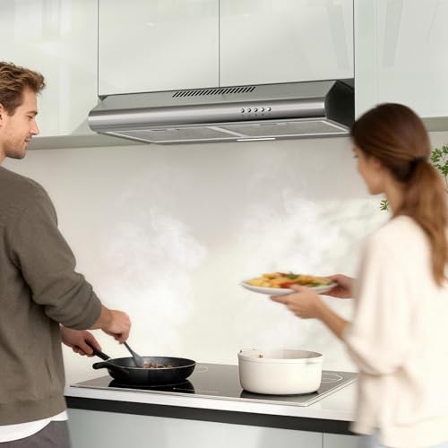 Detalle de FIREGAS A+ Hotte Aspirante 60 cm Sans Évacuation – Argent, moteur brushless