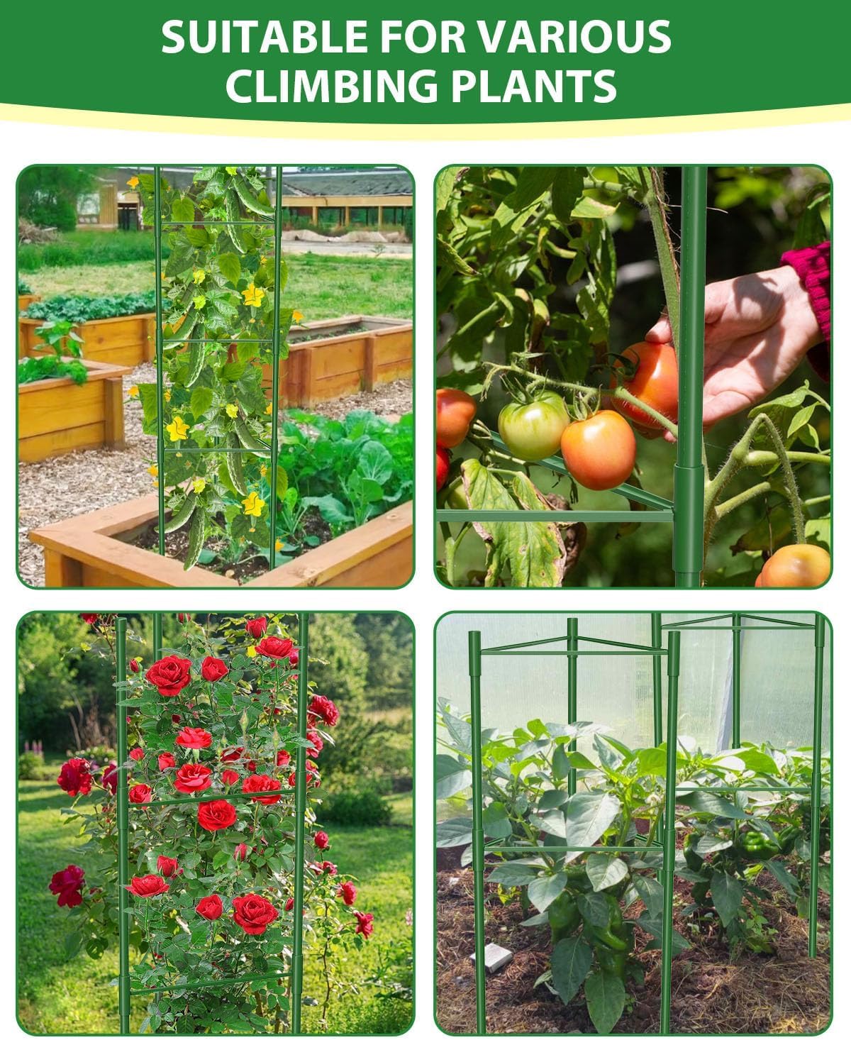 Thumbnail 2 de MYMULIKE 6Pack Tomato Supports 130cm