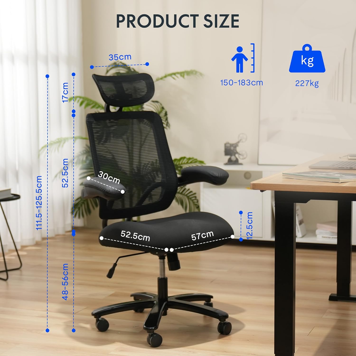 Thumbnail 1 de FLEXISPOT Ergonomic Office Chair 227kg