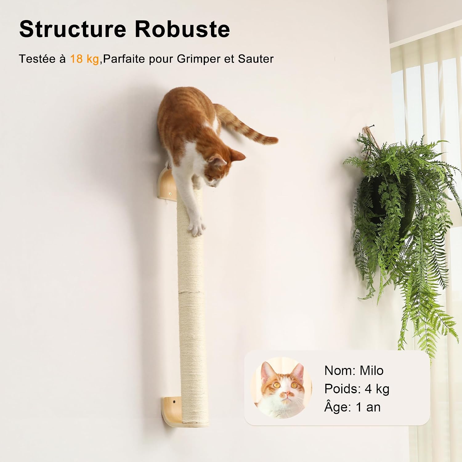 Detalle de FUKUMARU Griffoir pour Chat à 71 cm – Grattoir mural en sisal, poste vertical robuste