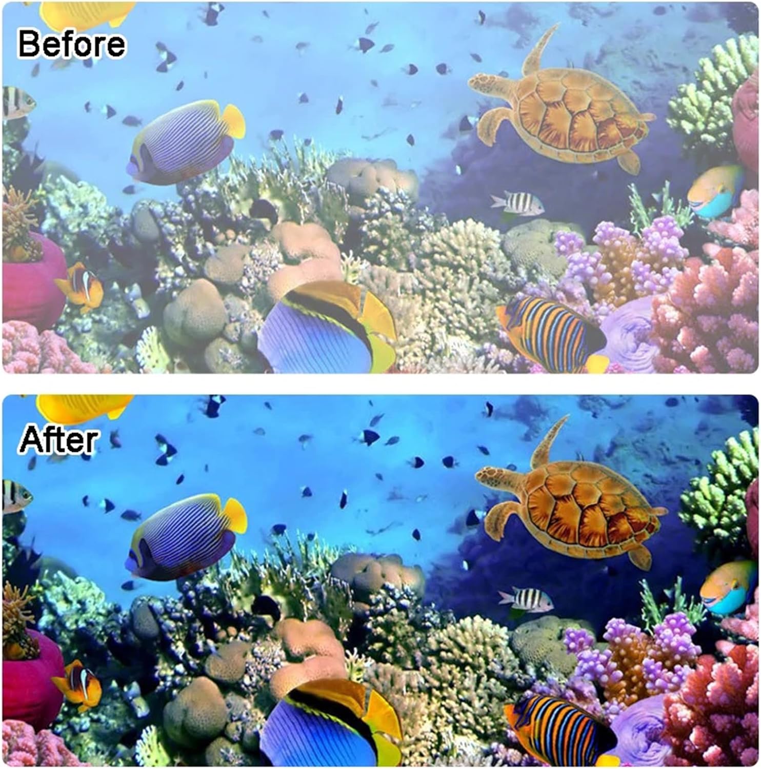 Thumbnail 2 de Underwater Protection Anti-Fog Insert for Waterproof Dive by Honghauth